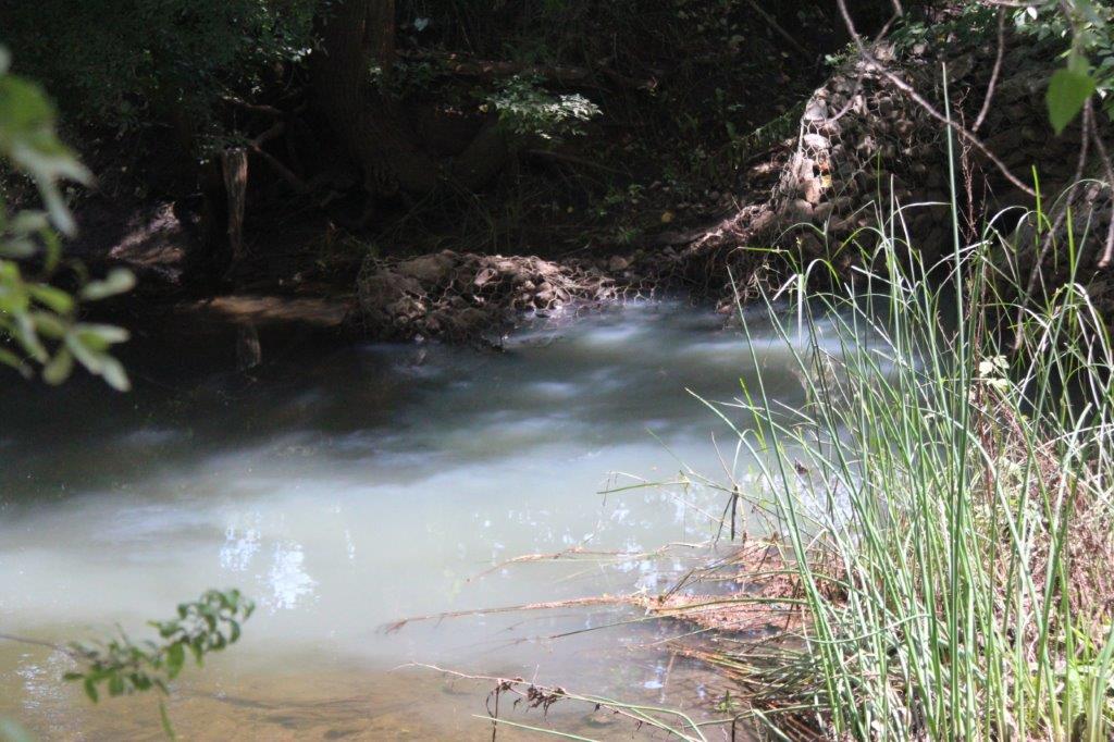 Water that looks like sewage, running into the Mooi River.