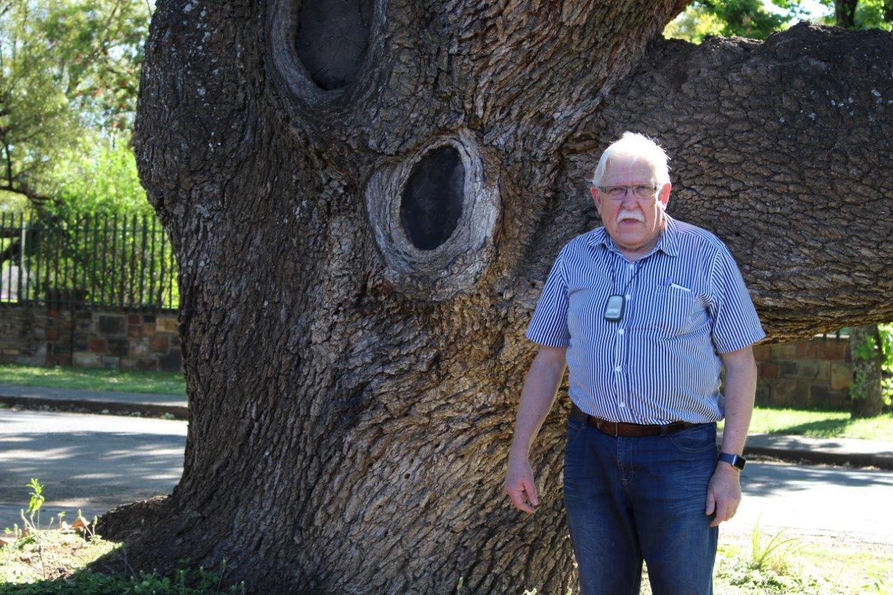 Riaan van der Walt langs die reuse eikeboom. FOTO: Johané van den Berg.