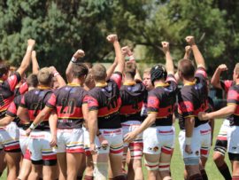 Volkies is gereed vir die stryd. Foto: Maritha van Zyl.