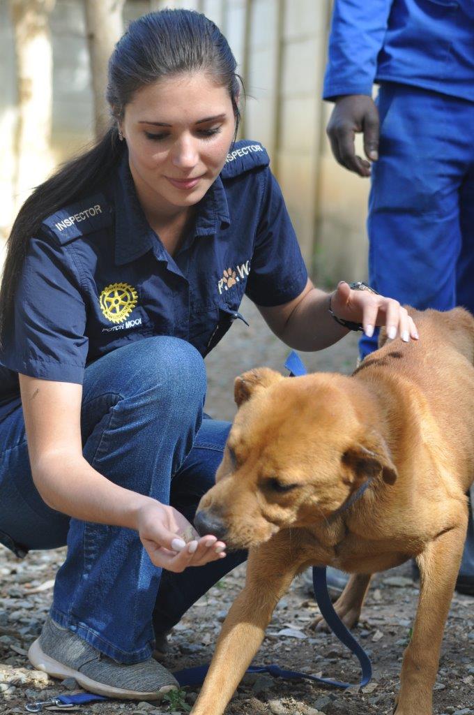 PAWS inspekteur Elloise Rootman gee die hond iets lekker om aan te peusel. Foto: Marianke Saayman