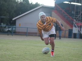 Llewellyn Ellis