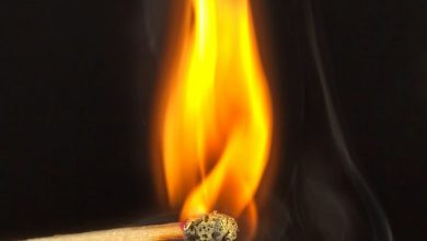 Fire-safety-lnn-scaled-1-780x470