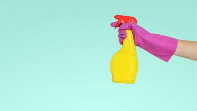 ElanaWagner-03-01-2022-HomeHacks-EcoFriendlyCleaning.6 (Medium)
