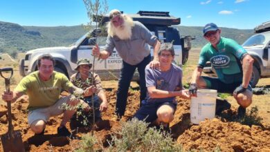 Holgate team tree planting at Tanglewood conservation area