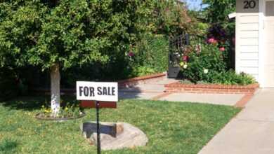 Price Reduction- advice to sellers