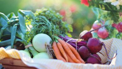 Alice Coetzee - 08-04-2022-gardening - grow your own photo 1 (Medium)