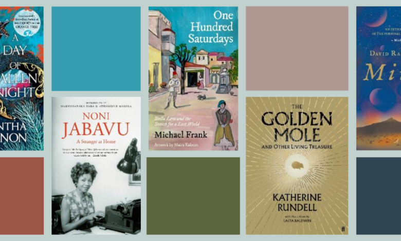 LNN Feat Image Resized