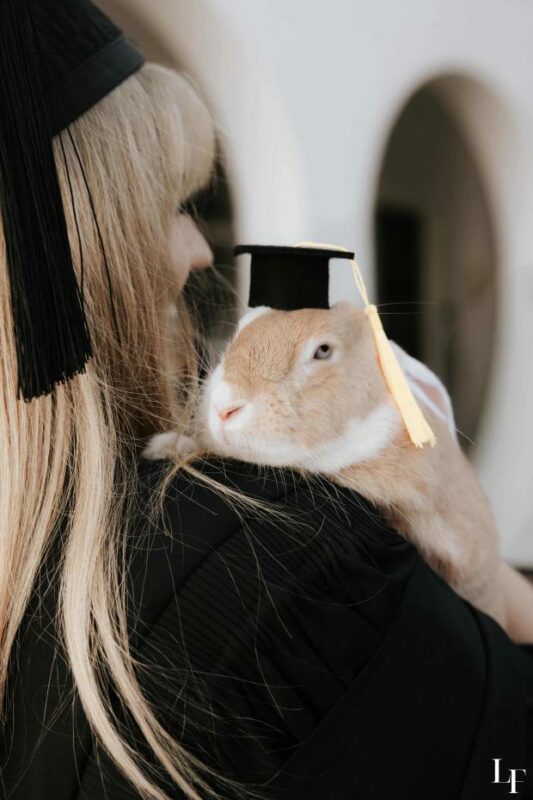 A bunny with a graduation hat.
