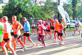 Zio Fun run