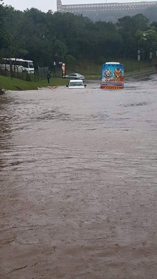 Images from Arrive Alive
