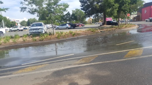 20161031_144810 (Medium)