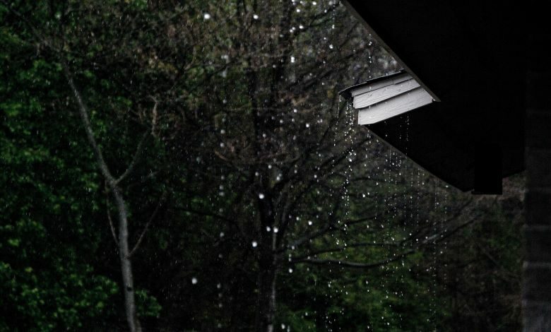 weather