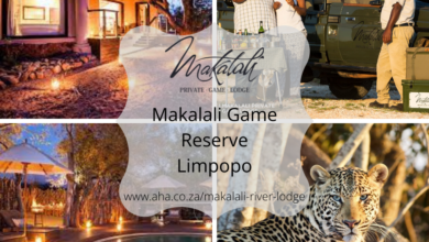 1st_Auction_Makalali Game Reserve Limpopo (1)