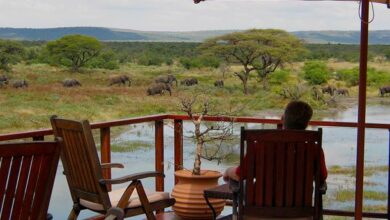 ElanaWagner-01-04-2022-Travel-EasterSafari.1