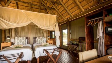 ElanaWagner-09-03-2022-Travel-BidOnTreeCamp.1