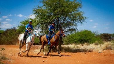 Equestrian Camdeboo 4