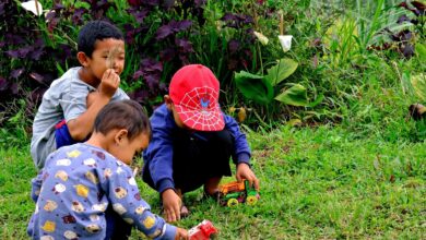 Alice Coetzee - 30- 12-2022-gardening - gardening for kids photo 1