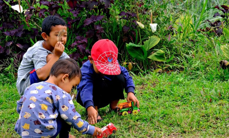 Alice Coetzee - 30- 12-2022-gardening - gardening for kids photo 1