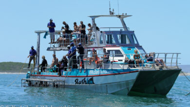 Marine Dynamics