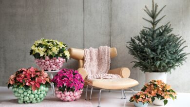 Styling Elize Eveleens - Klimprodukties