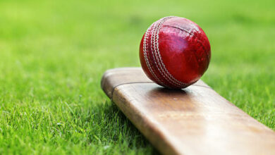 Cricket ball resting on a cricket bat on green grass of cricket pitch