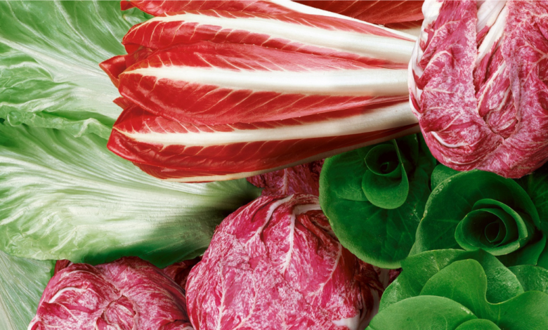 LNN Featured Image_1 (1)