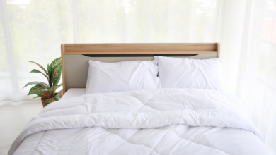 LNN Featured Image_1 (2)