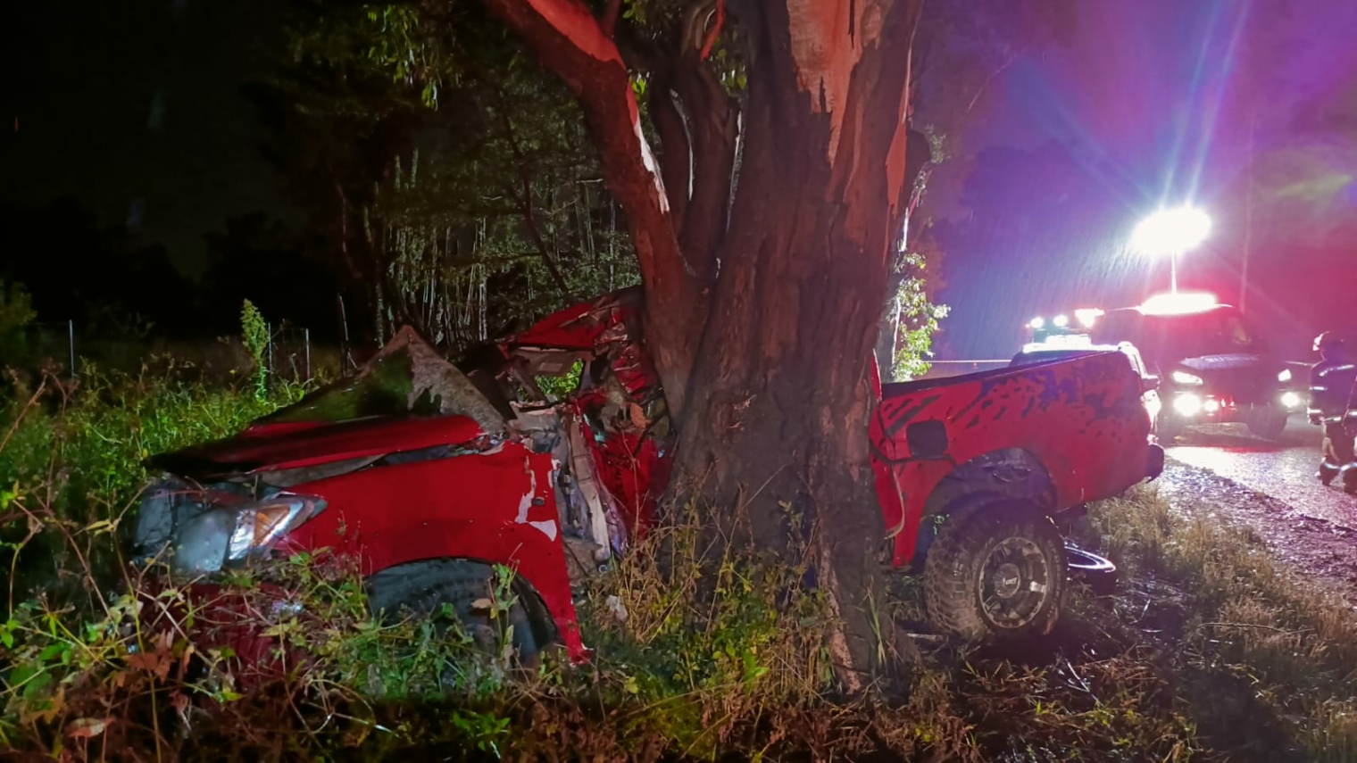 Two killed when bakkie crashes into tree | Sedibeng Ster