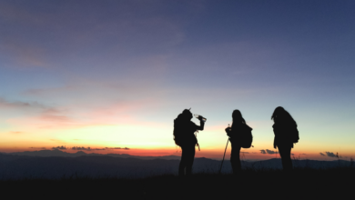 LNN Featured Image_1 (15)