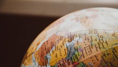 LNN featured image_2