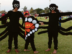 Owen (6), Amore (4) en Evan (6) Human het fantastiese insek kostuums aangehad. Foto’s: Schalk le Roux