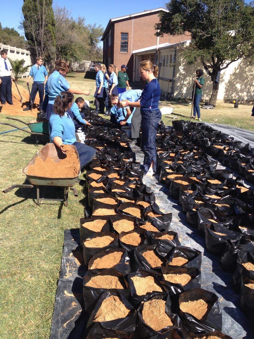 Hier word hard gewerk om die groente in plastiekhouers te saai.