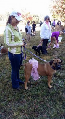 Paws on the Pavement, Midvaal, 2015
