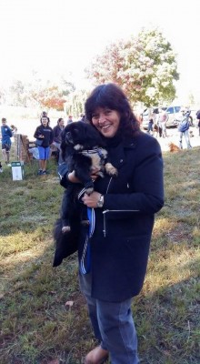 Paws on the Pavement, Midvaal, 2015