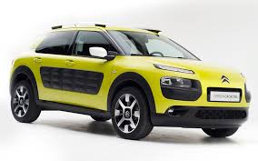 Pic - C4 Cactus