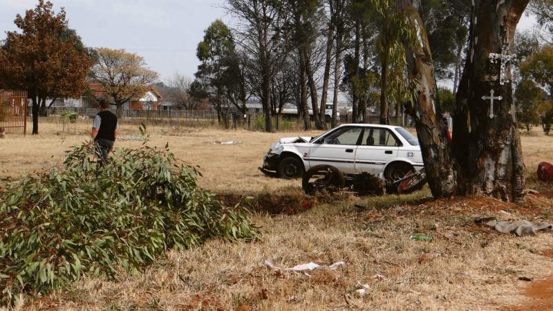 Hierdie boom is ook deur die voertuig uit sy wortels geruk voordat dit tot stilstand gekom het. Foto: Jannie du Plessis