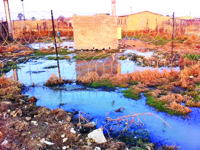 Examples of sewage spillage in Deneysville last week. Photos: SAVE the Vaal.