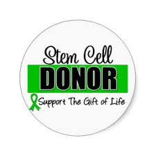 Stem Cell Donor