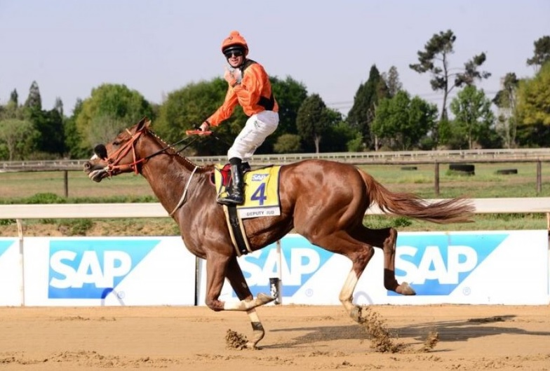 Proud winners! Deputy Jud and jockey JP van der Merwe at Saturday’s R1 million Supreme Cup, sponsored by SAP. Photo: Gold Circle Horseracing and Betting