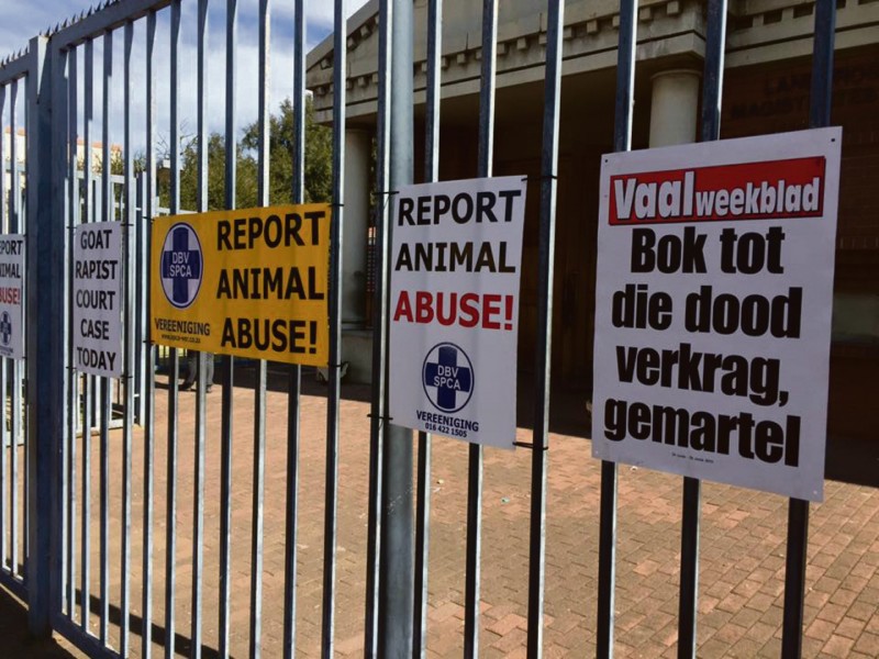 Woedende diereliefhebbers het tydens die bokverkragter se verskyning in die Vereenigingse landdroshof Vaalweekblad se plakkate en ander beswaarplakkate teen die hof se palissade vasgeplak.