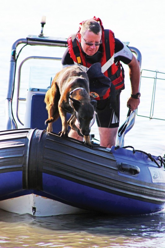 Een van die polisie se ‘Search and Rescue’ honde en sy hanteerder besig met hul soektog.
