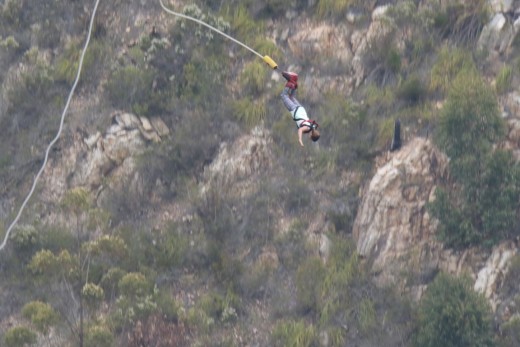 Bungy in Tsitsikamma.