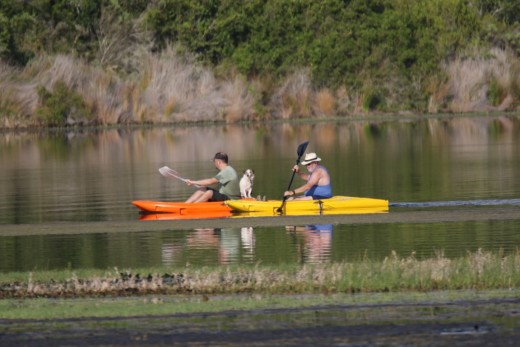 Uitstappie saam met brak - Segdefield.