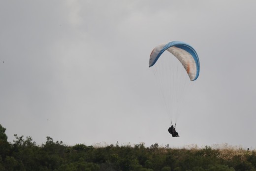 Paragliding in Sedgefield.