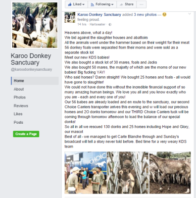 Karoo Donkey Sanctuary Facabook-blad