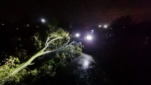 Die boom