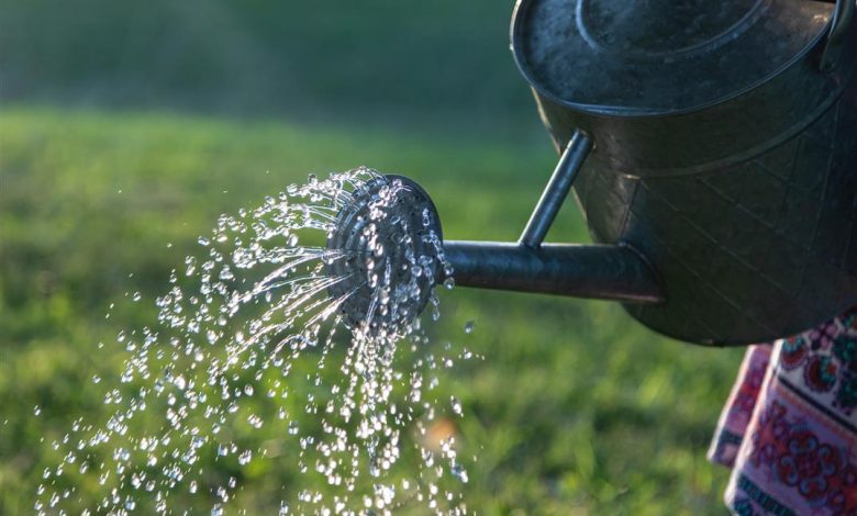 ElanaWagner-18-10-2021-Home-WaterHabits.2 (Medium)
