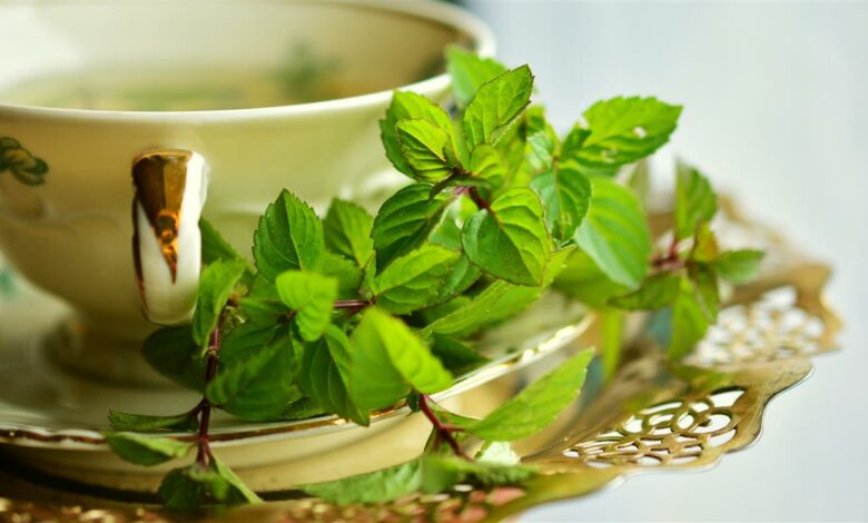 AliceCoetzee-31-12-2021-gardening-herbs-photo 1 (Medium)