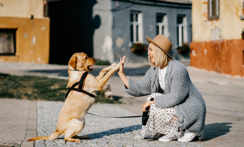ElanaWagner-04-03-2022-Pets-EmotionalSupport.2