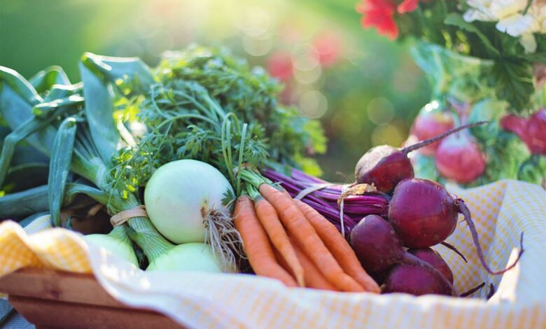 Alice Coetzee - 08-04-2022-gardening - grow your own photo 1 (Medium)